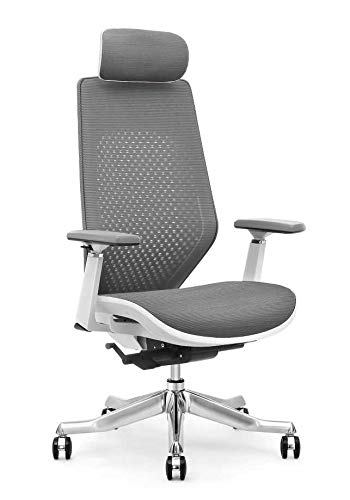 JD9 High Back Ergonomic Chair with Advanced Multi Angle Backrest Locking Quick Tilt Mechanism with Body Weight Tension Adjustment for Office & Home.