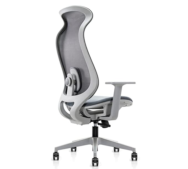 JD9 High Back Mesh Multi-Position Lock with Seat Slider Office Chair with High Density Foam Seat (Premium Mesh, White & Grey)