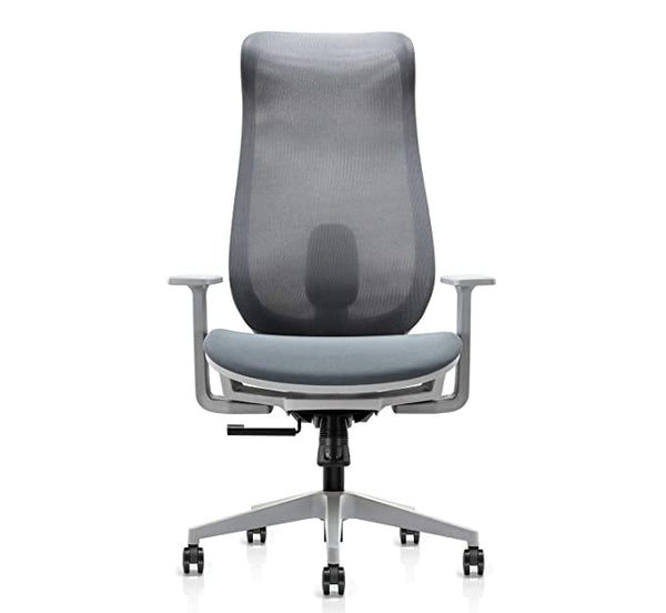 JD9 High Back Mesh Multi-Position Lock with Seat Slider Office Chair with High Density Foam Seat (Premium Mesh, White & Grey)