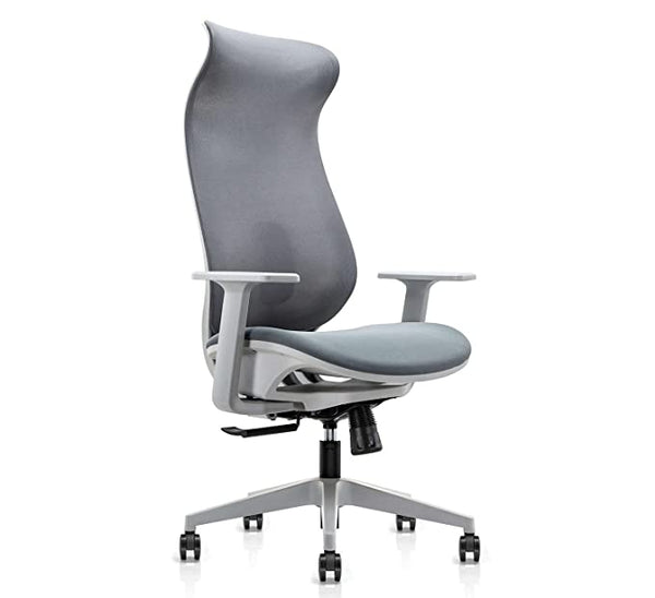 JD9 High Back Mesh Multi-Position Lock with Seat Slider Office Chair with High Density Foam Seat (Premium Mesh, White & Grey)