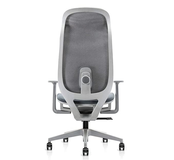 JD9 High Back Mesh Multi-Position Lock with Seat Slider Office Chair with High Density Foam Seat (Premium Mesh, White & Grey)