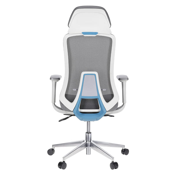 JD9 High Back Mesh Self Weight Syncro tilt Mechanism with Multi Position Lock & Seat Slider Office Chair with Cushion Seat (Premium Mesh)