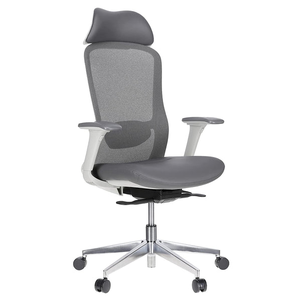 JD9 High Back Mesh Self Weight Syncro tilt Mechanism with Multi Position Lock & Seat Slider Office Chair with Cushion Seat (Premium Mesh White & Grey)
