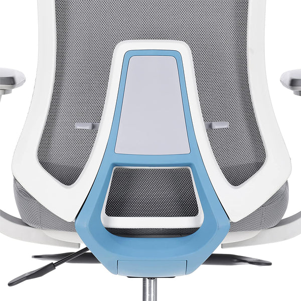 JD9 High Back Mesh Self Weight Syncro tilt Mechanism with Multi Position Lock & Seat Slider Office Chair with Cushion Seat (Premium Mesh)
