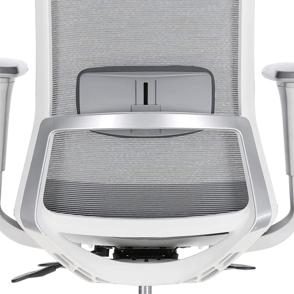 JD9 High Back Mesh Self Weight Syncro tilt Mechanism with Multi Position Lock & Seat Slider Office Chair with Cushion Seat (Premium Mesh White & Grey)