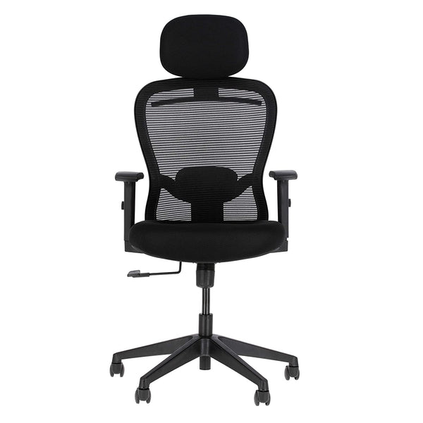 JD9 High Back Office Chair with Adjustable Lumbar Back Support, and Height Adjustable Arms(Breathable Mesh, Black)