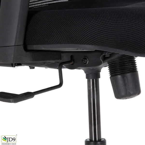 JD9 High Back Office Chair with Adjustable Lumbar Back Support, and Height Adjustable Arms(Breathable Mesh, Black)