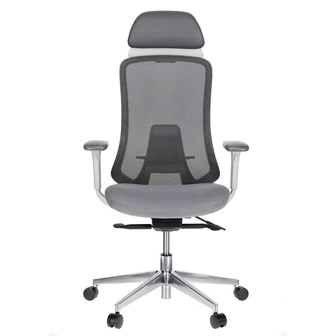 JD9 High Back Mesh Self Weight Syncro tilt Mechanism with Multi Position Lock & Seat Slider Office Chair with Cushion Seat (Premium Mesh)