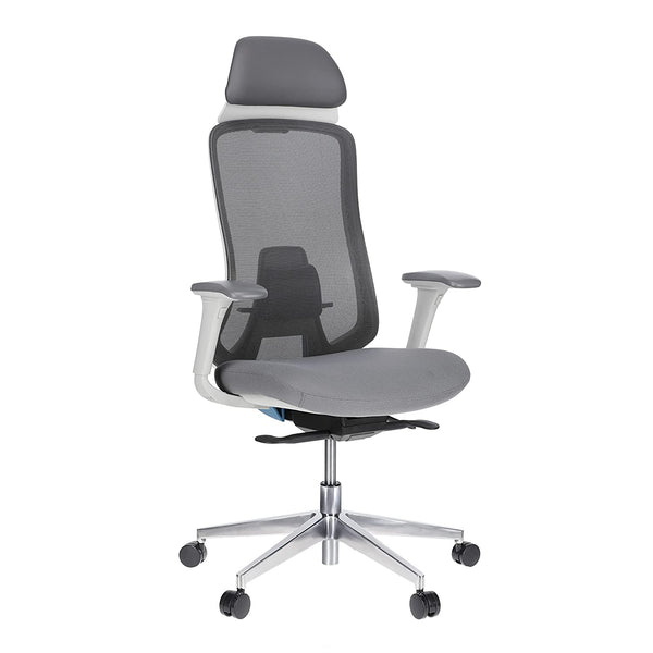 JD9 High Back Mesh Self Weight Syncro tilt Mechanism with Multi Position Lock & Seat Slider Office Chair with Cushion Seat (Premium Mesh)